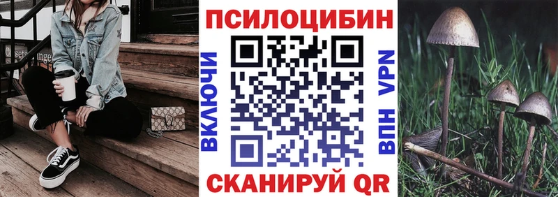 Псилоцибиновые грибы Psilocybe  Сегежа 