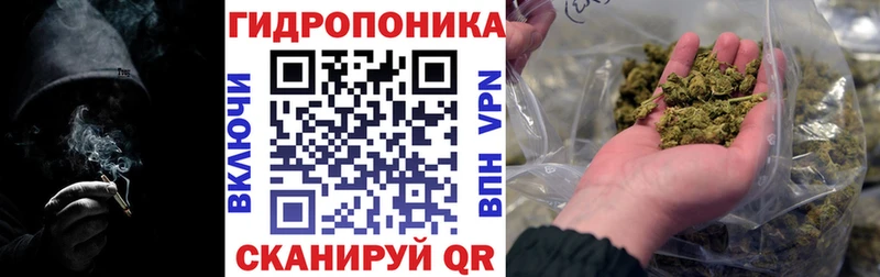 Бошки Шишки Amnesia сайты даркнета Telegram Сегежа